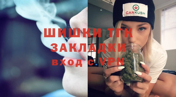 стаф Болотное