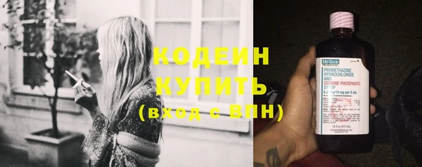 стаф Болотное