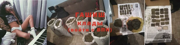 мдпв Гусев