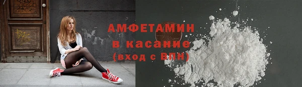 мдпв Гусев