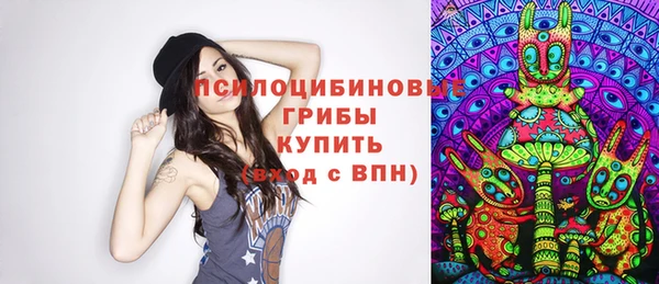 таблы Гусь-Хрустальный