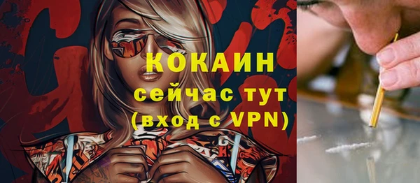 стаф Болотное