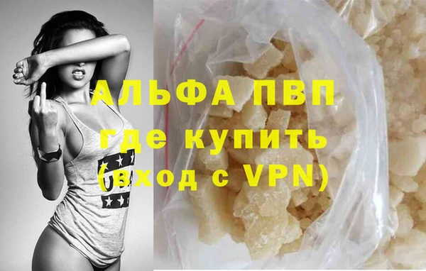 стаф Болотное