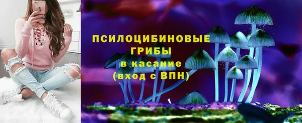 мдпв Гусев