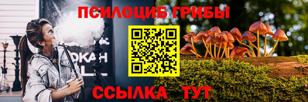 Псилоцибиновые грибы мицелий Ефремов