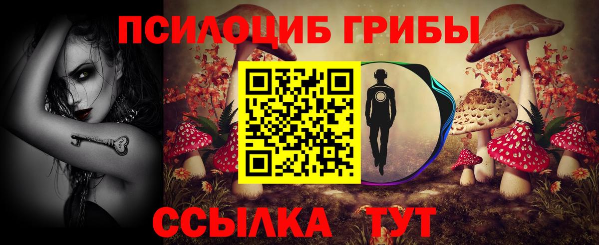 Галлюциногенные грибы Psilocybine cubensis  Псилоцибиновые грибы прущие грибы  Вход с VPN  Ефремов 